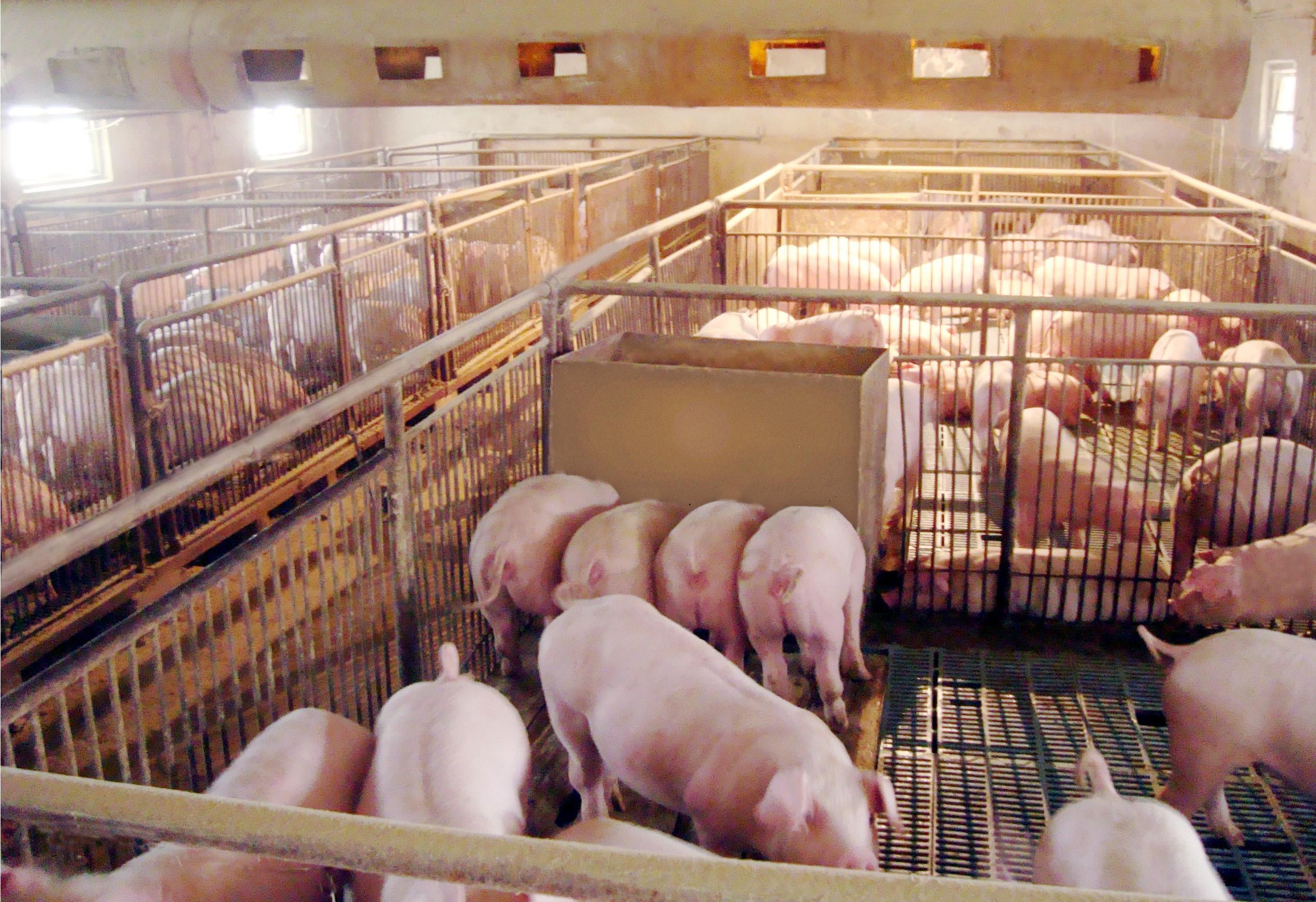 認(rèn)識(shí)霉菌的危害性